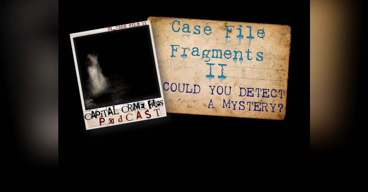 Case Files Rosen Case File Fragments II - Could you detect a mystery? | Capital Crime ...