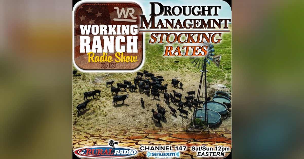 Ep 121: Proactive Drought Management on Stocking Rates | Working Ranch ...