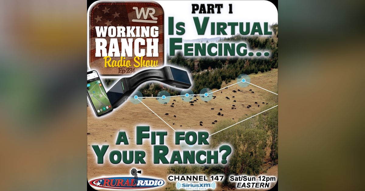 Ep 234: Part 1 - Is Virtual Fencing a Fit for Your Ranch? | Working ...