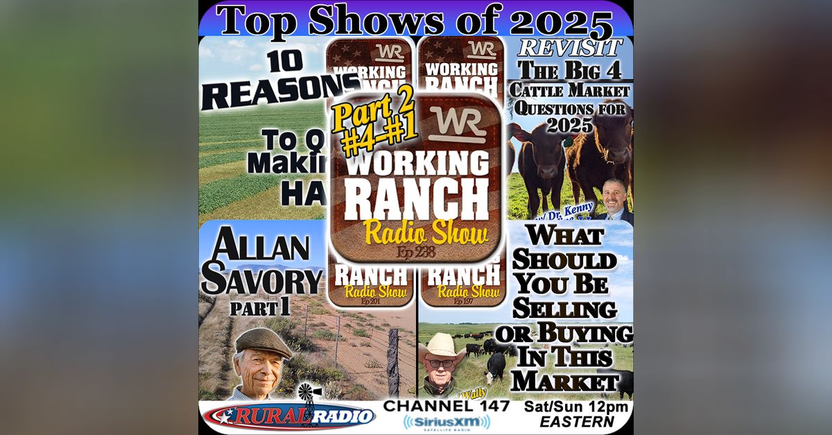 Ep 238: Top Shows of 2025 Part 2: Highlights from #4–#1 | Working Ranch ...