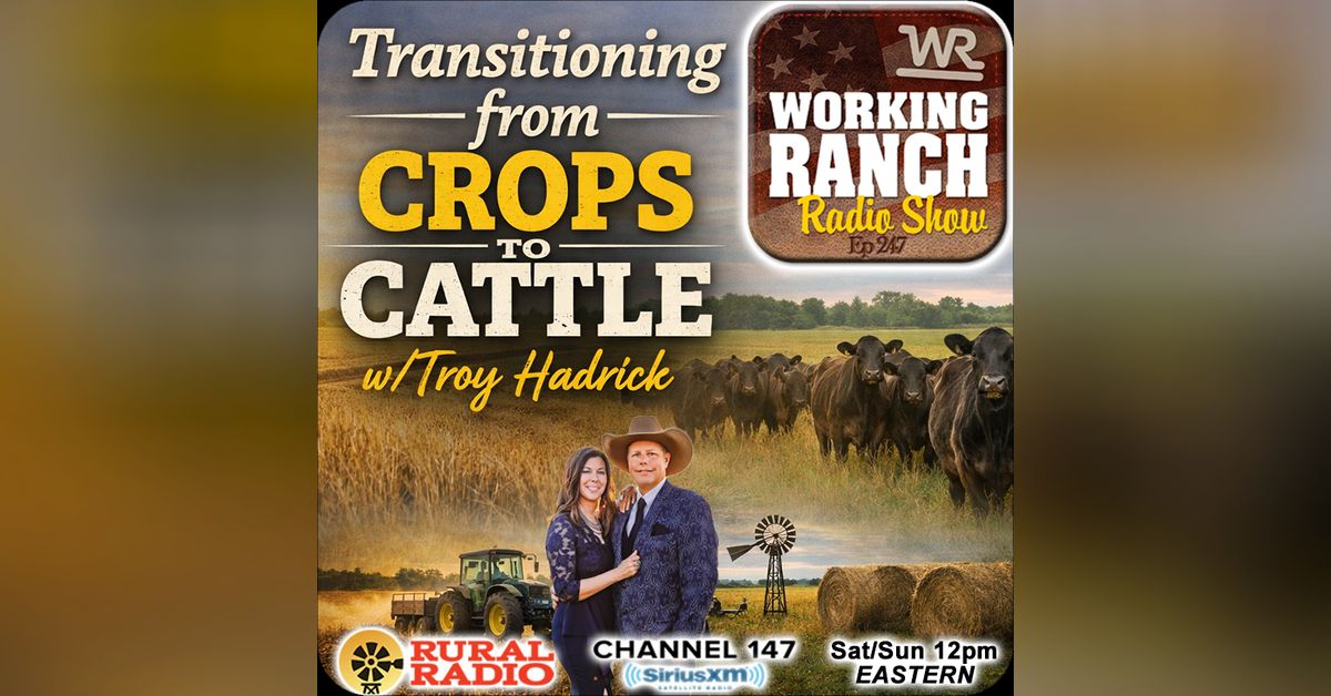 Ep 247: Transitioning from Crops to Cattle w/ Troy Hadrick | Working ...