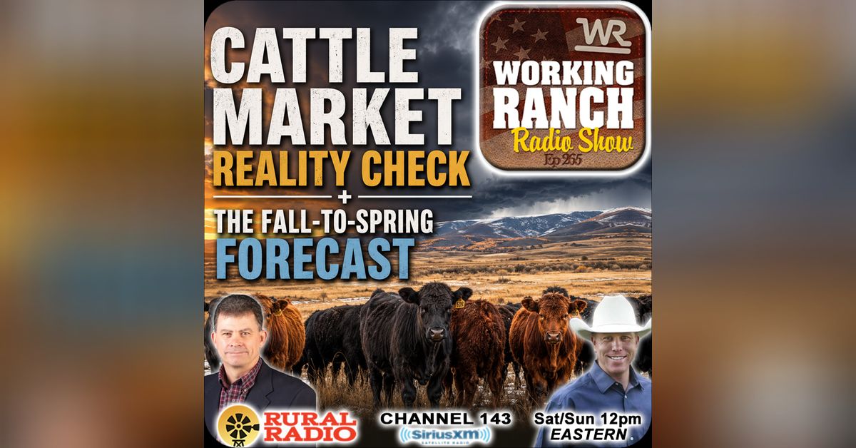 Fallen Spring Mill Ep 265: Cattle Market Reality Check + Don Day Fall-to-Spring Forecast ...