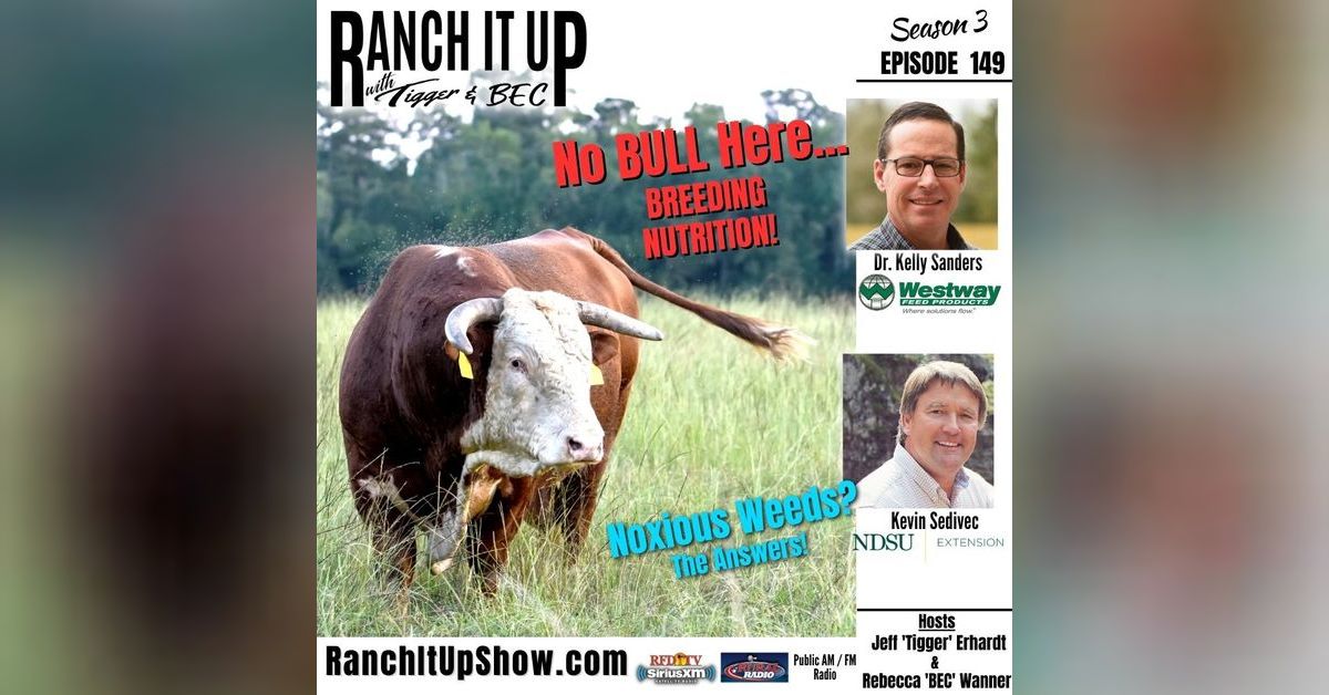 Here Is How To Manage Fall Weeds & Breeding Bull Nutrition | Ranch It ...