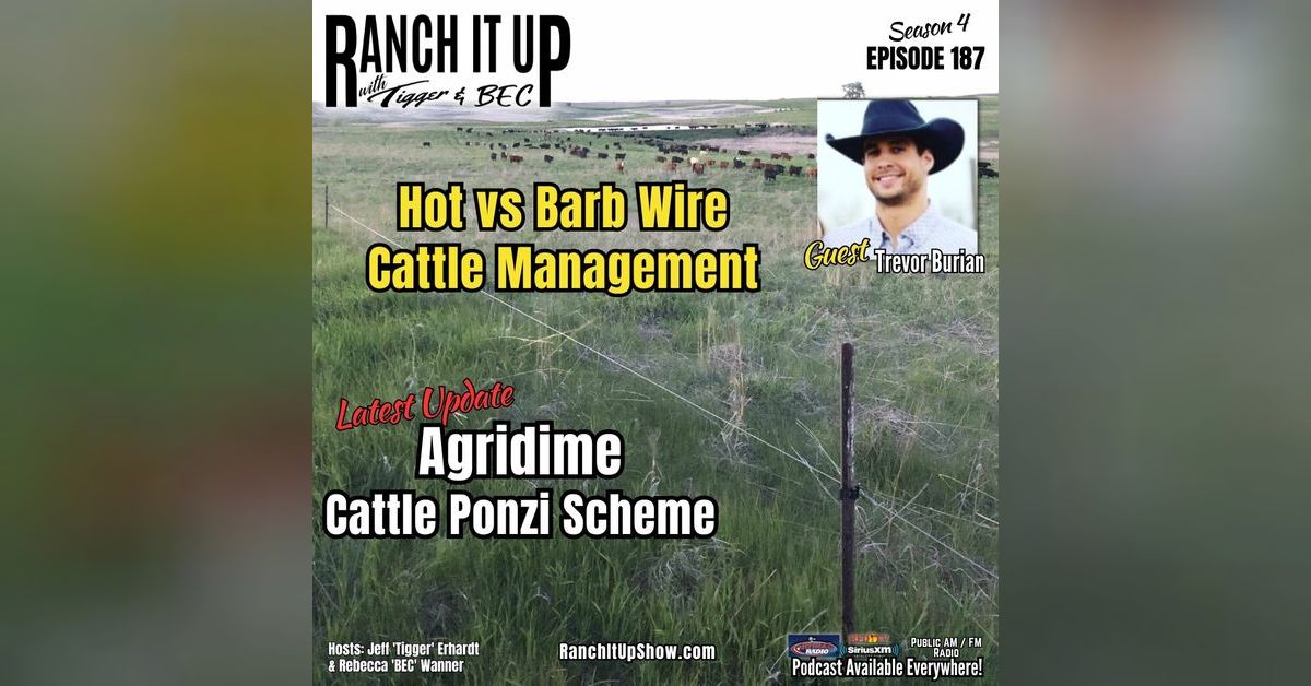 Hot Wire Cattle Management & Agridime Ponzi Scheme News | Ranch It Up ...