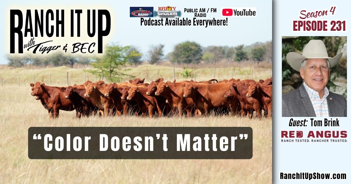 Sustainable Beef: A Processing Plant Where Color Doesn’t Matter | Ranch ...