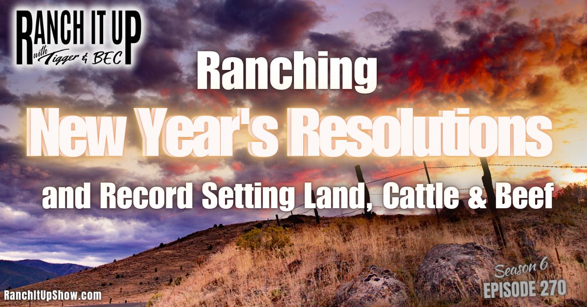 Ranching Resolutions And Record Land, Cattle, & Beef Prices | Ranch It ...