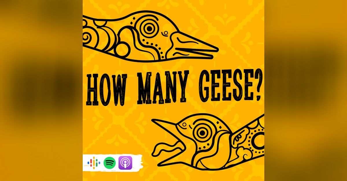 Mission Mexico: Monkey Business | How many geese?