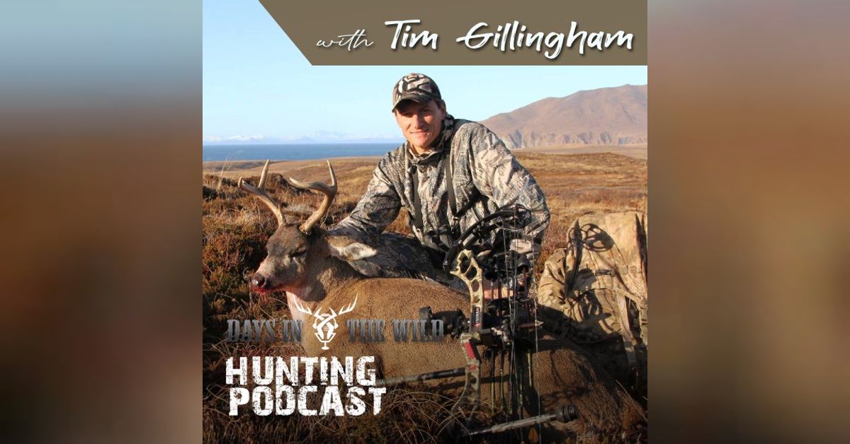 Archery Ops Podcast with Tim Gillingham | Days In The Wild - Big game ...