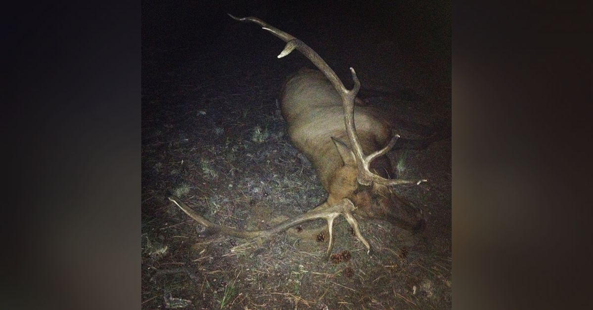 New Mexico Draw with Mr. Elk Bros Joe Giglia | Days In The Wild - Big