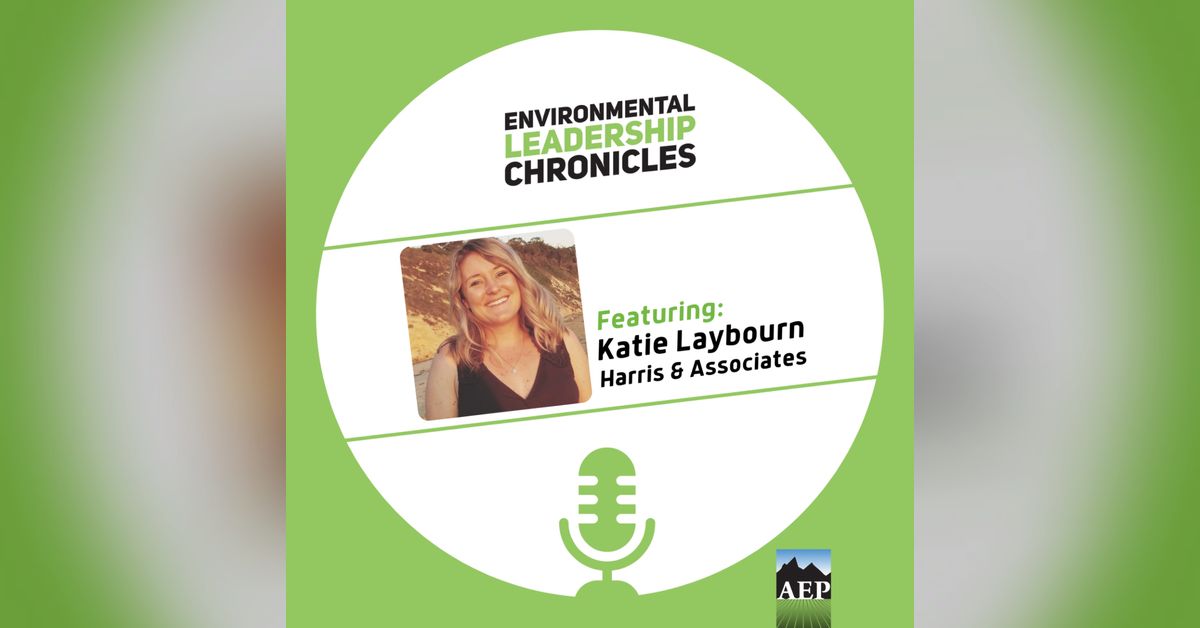 Networking into Environmental Leadership ft. Katie Laybourn, Harris ...