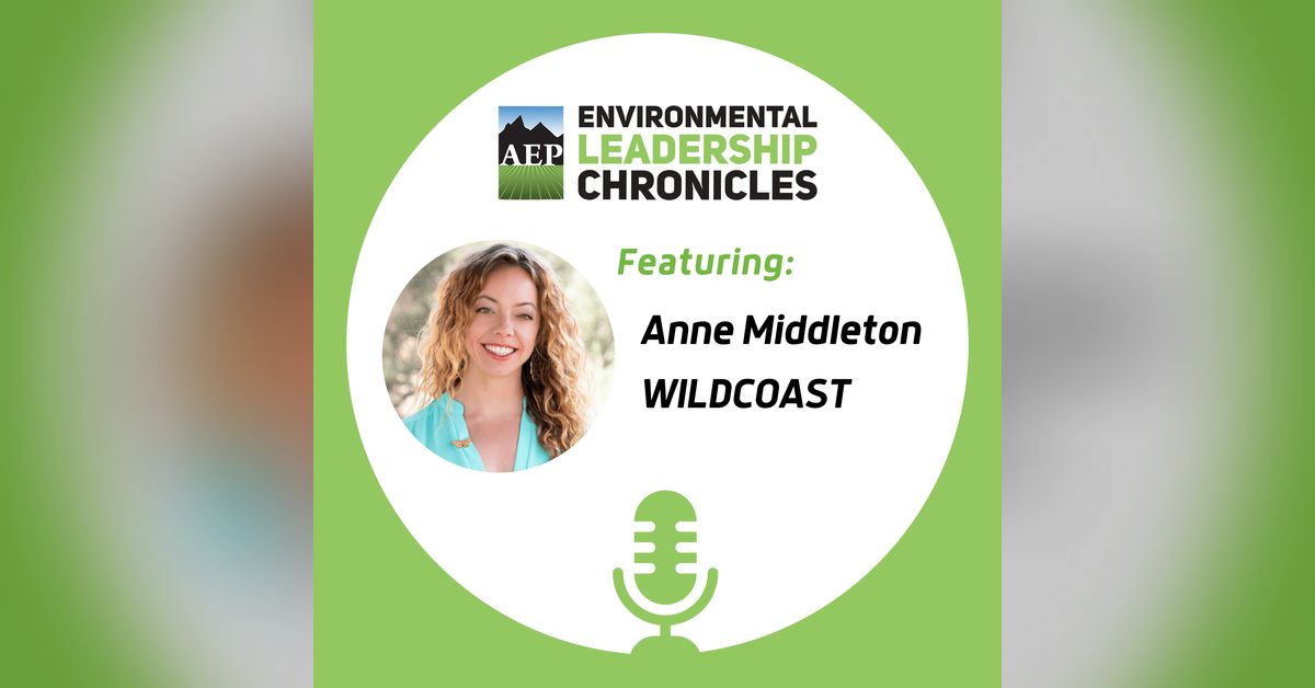 Bridging Sectors for Sustainable Solutions, ft. Anne Middleton ...