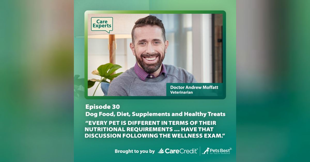 Dog Food, Diet, Supplements & Healthy Treats Dr. Andrew Moffatt