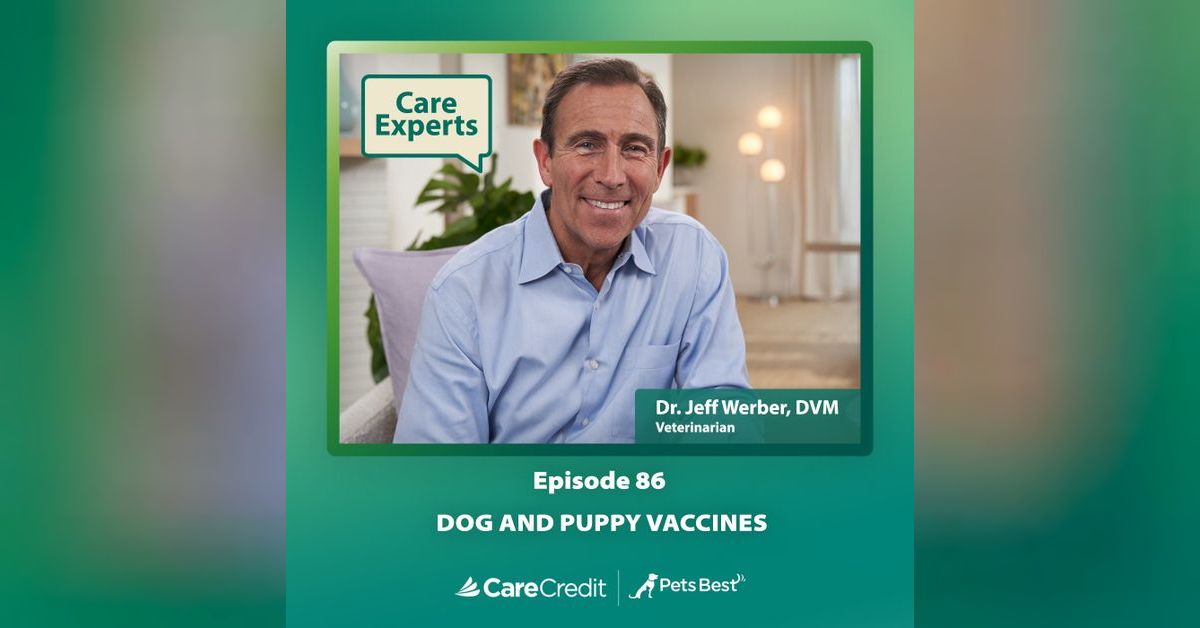 Dog and Puppy Vaccines Dr. Jeff Werber Care Experts with CareCredit