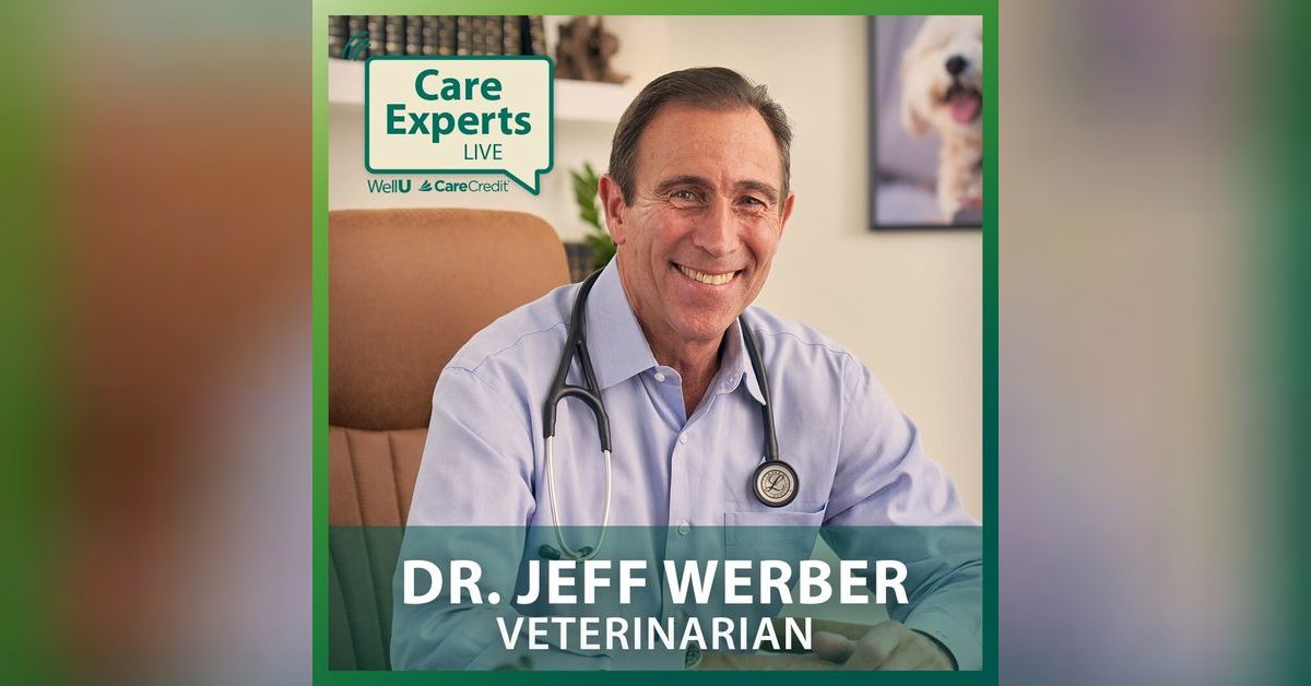 Care Experts LIVE (Veterinarian) Dr. Jeff Werber Care Experts with