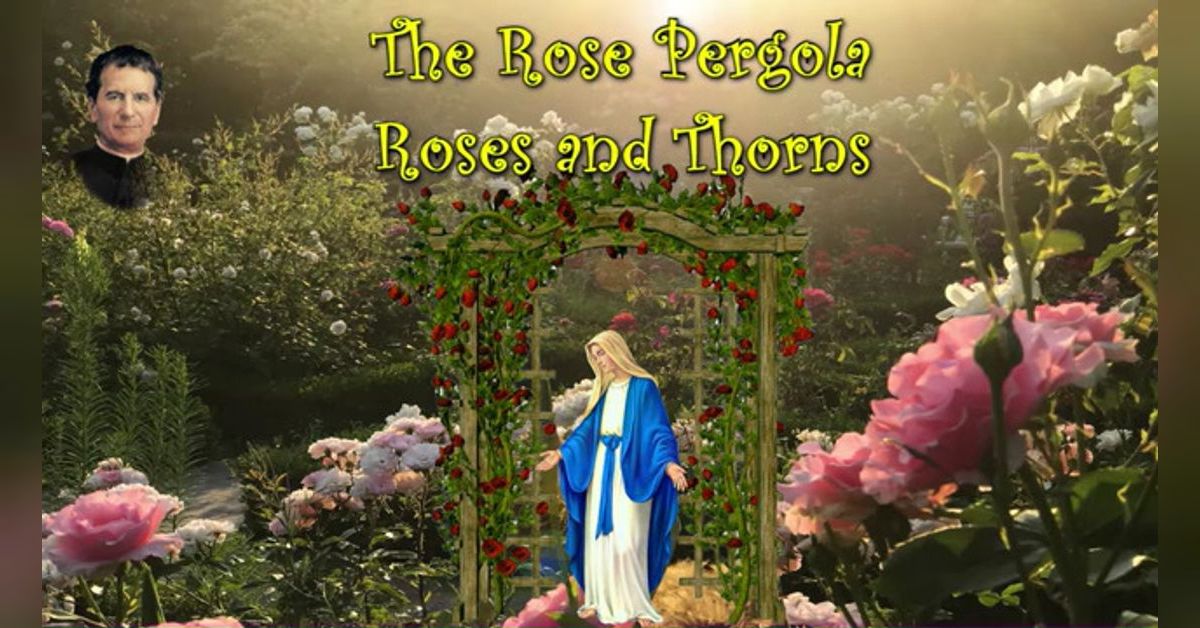 The Catholic Storyteller The Rose Pergola * Roses and Thorns (St. John