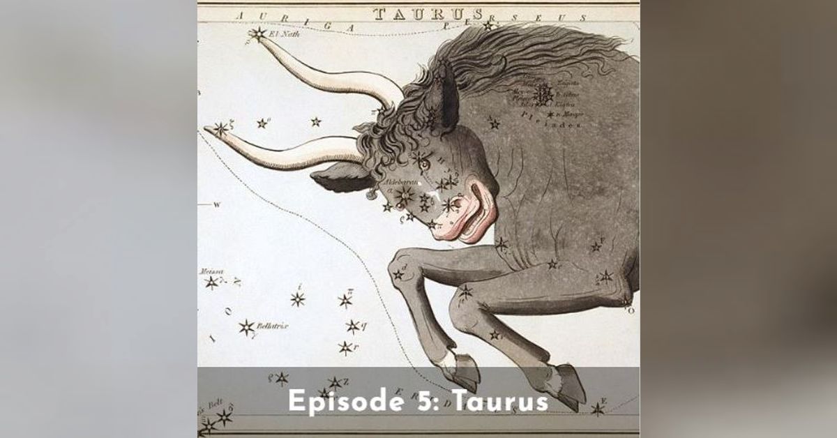 Taurus: The Bull | Starry Time