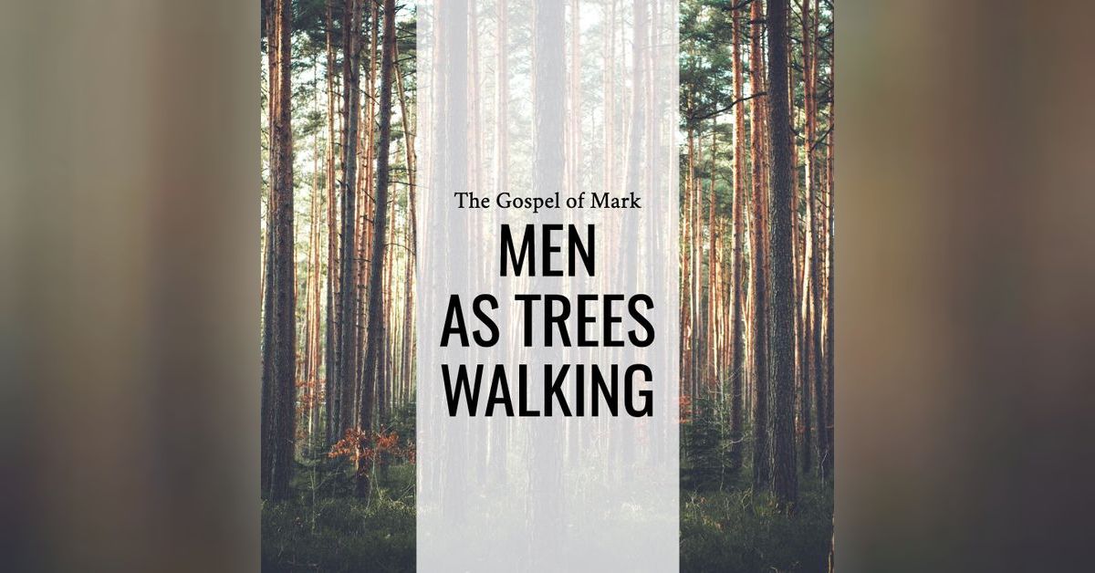 Sermon: Men As Trees Walking (Mark 8:22-33) | The Local Christendom ...