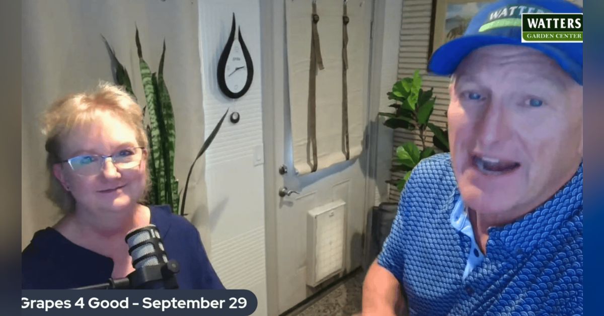 to 'The Top 10 Gardener Podcast' with Ken and Lisa Lain! 🎙️