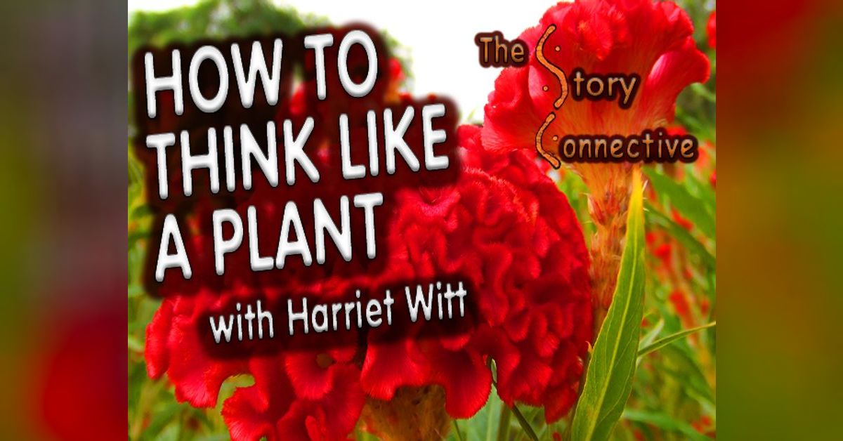 How To Think Like A Plant with Harriet Witt The Story Connective
