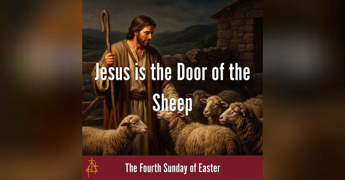 Bible Study: Jesus is the Door of the Sheep | John 10:1–10 | I Am the ...