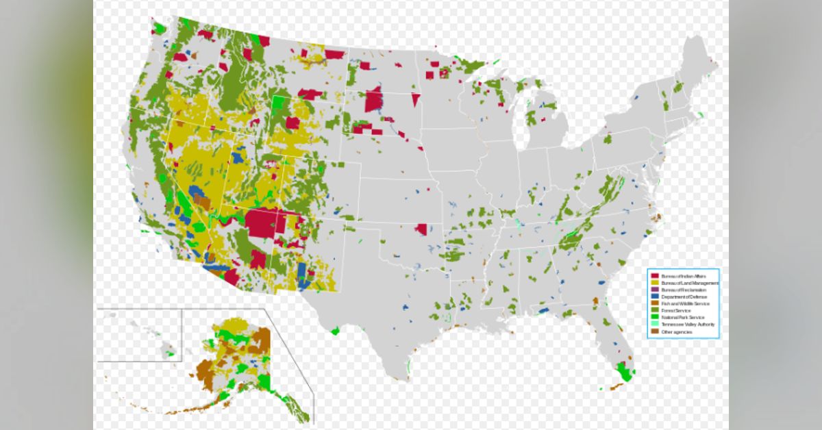 153P Vacation and Important Turkey Hunting Safety Lessons The
