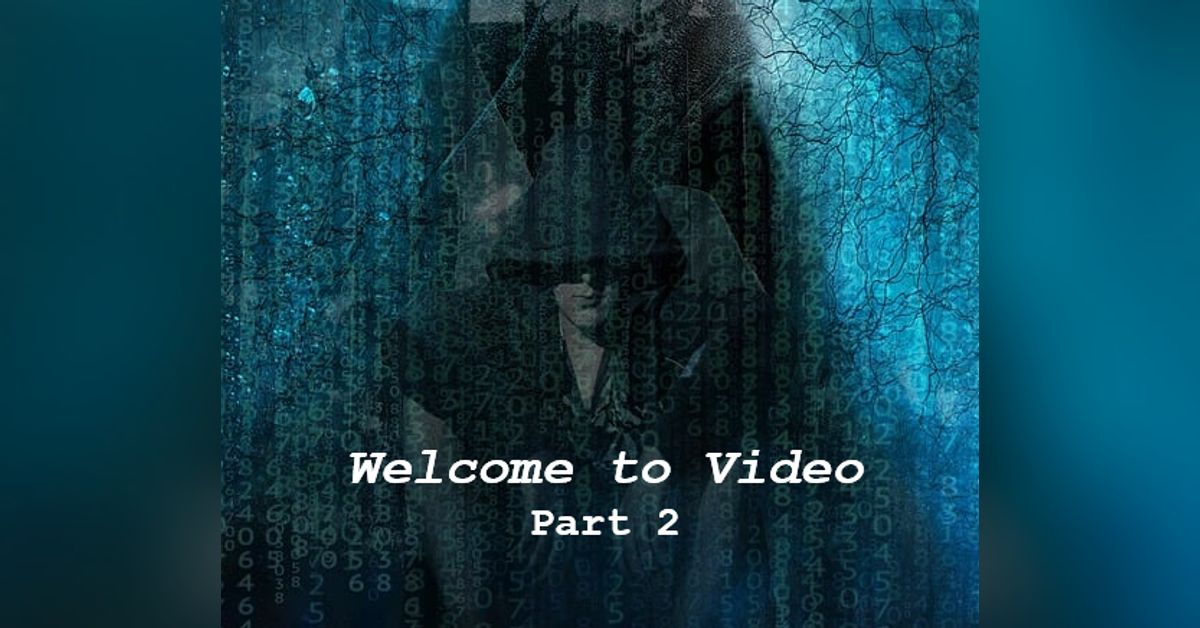 'Welcome to Video' (Part 2): The Fall of a Dark Web Empire | WILDCIDE