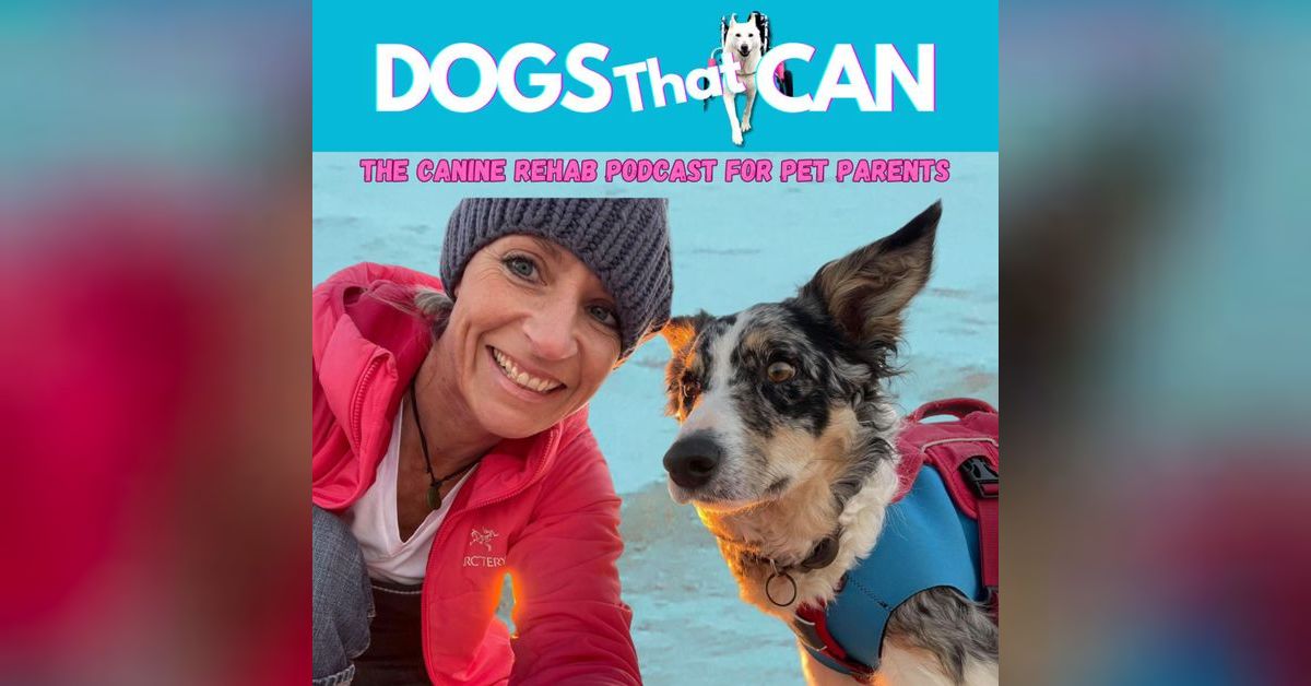 Ep6 How to Recognize & Relieve Your Dog's Arthritis Pain with Dr