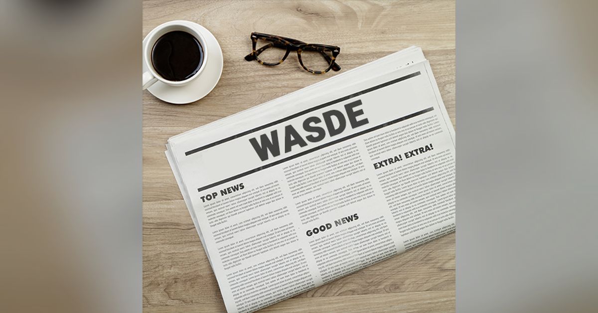 Wasdwe May WASDE: Get your 2023/24 crop estimates here! | McKeany-Flavell Hot ...