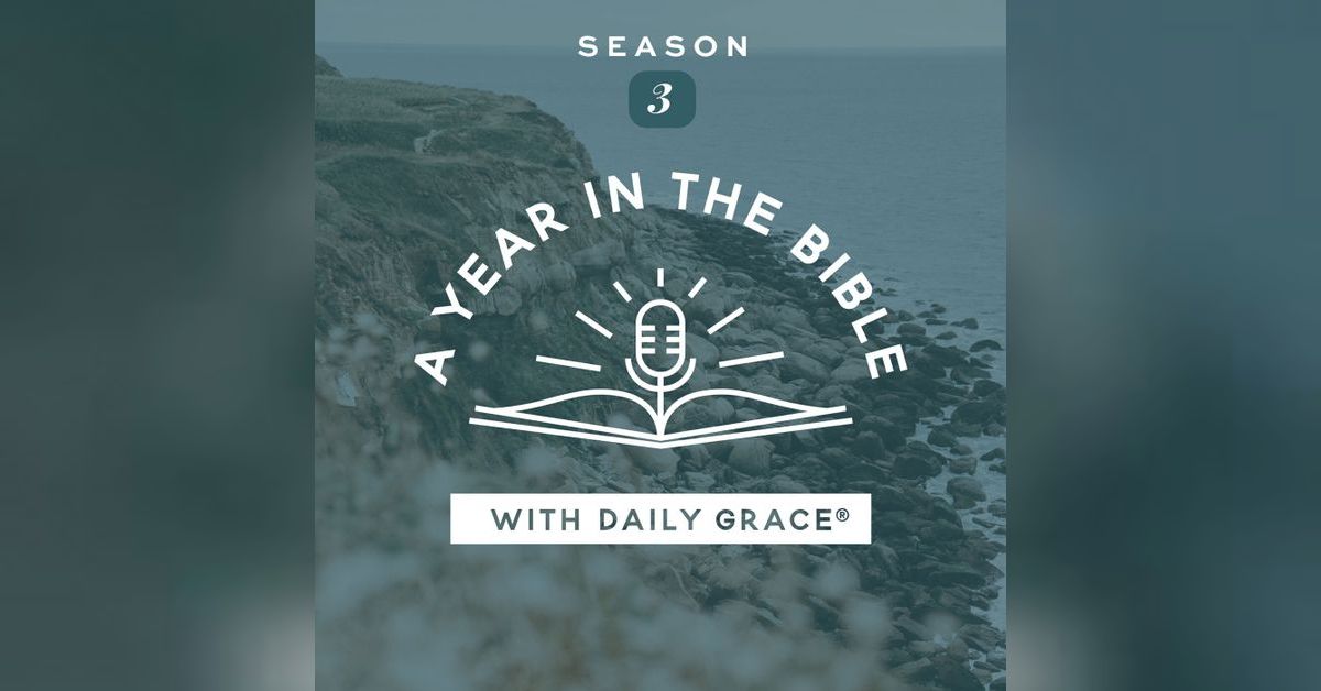 S3: Colossians 2: Rooted and Built Up in Christ | A Year in the Bible ...