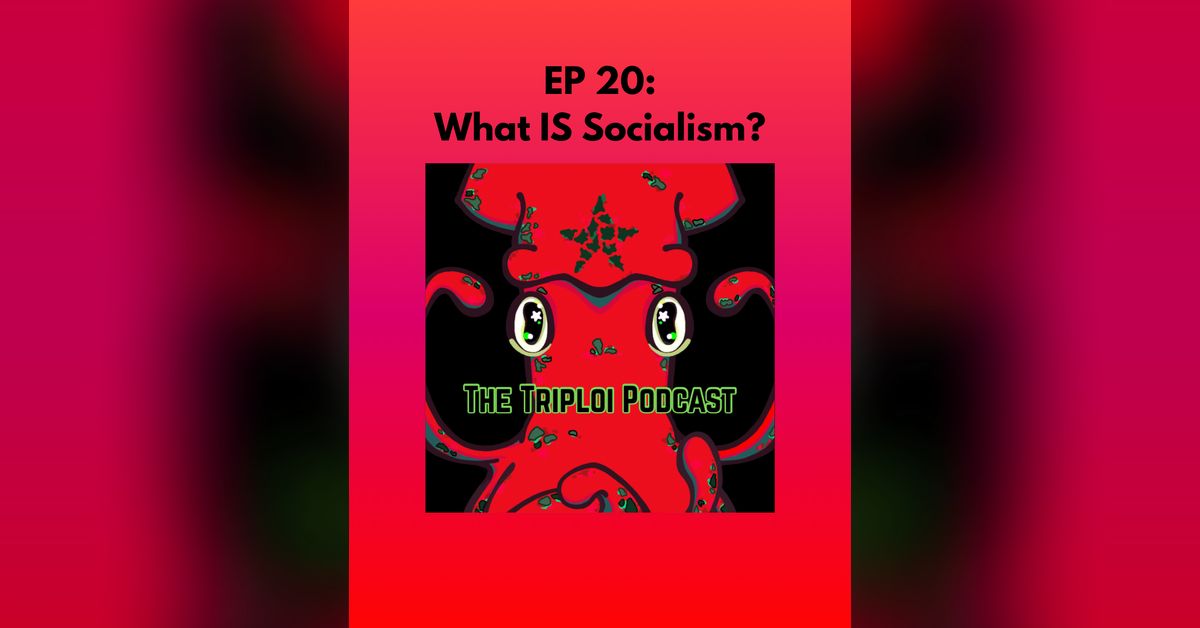 Ep 20: What IS Socialism? | The Triploi Podcast