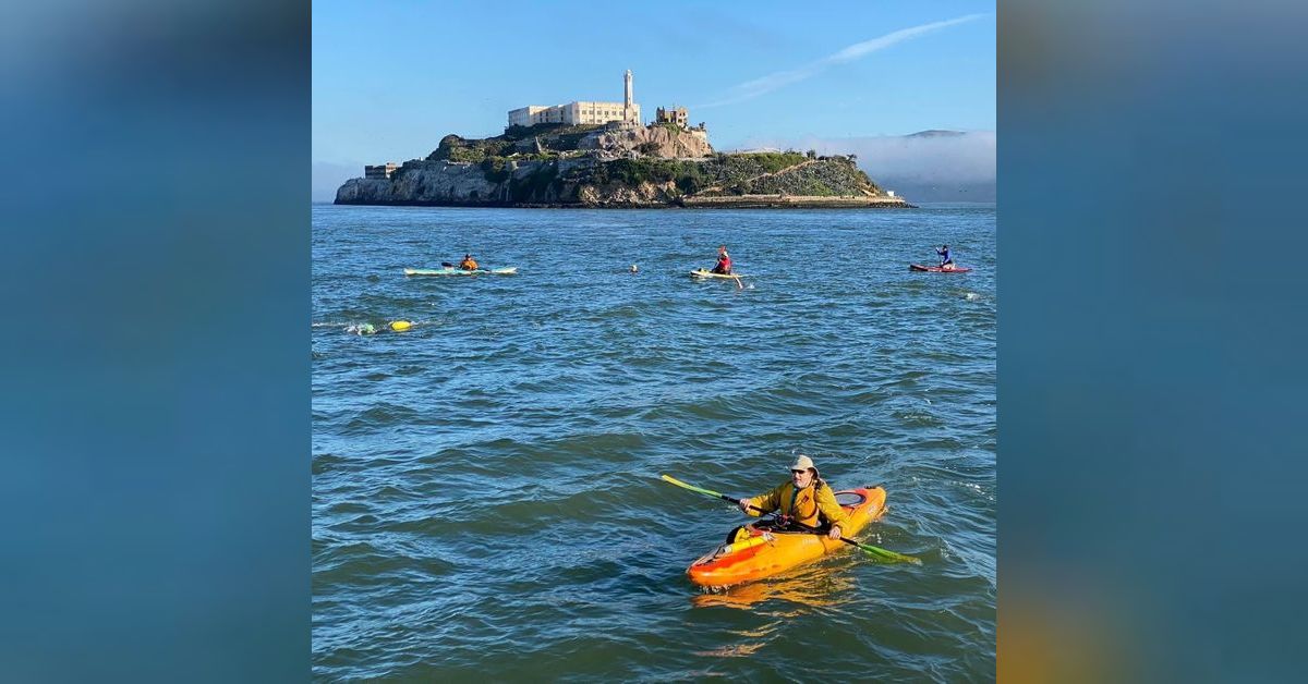 Ocean swimming... Alcatraz (part 1) SWIMMING WITH THE POD