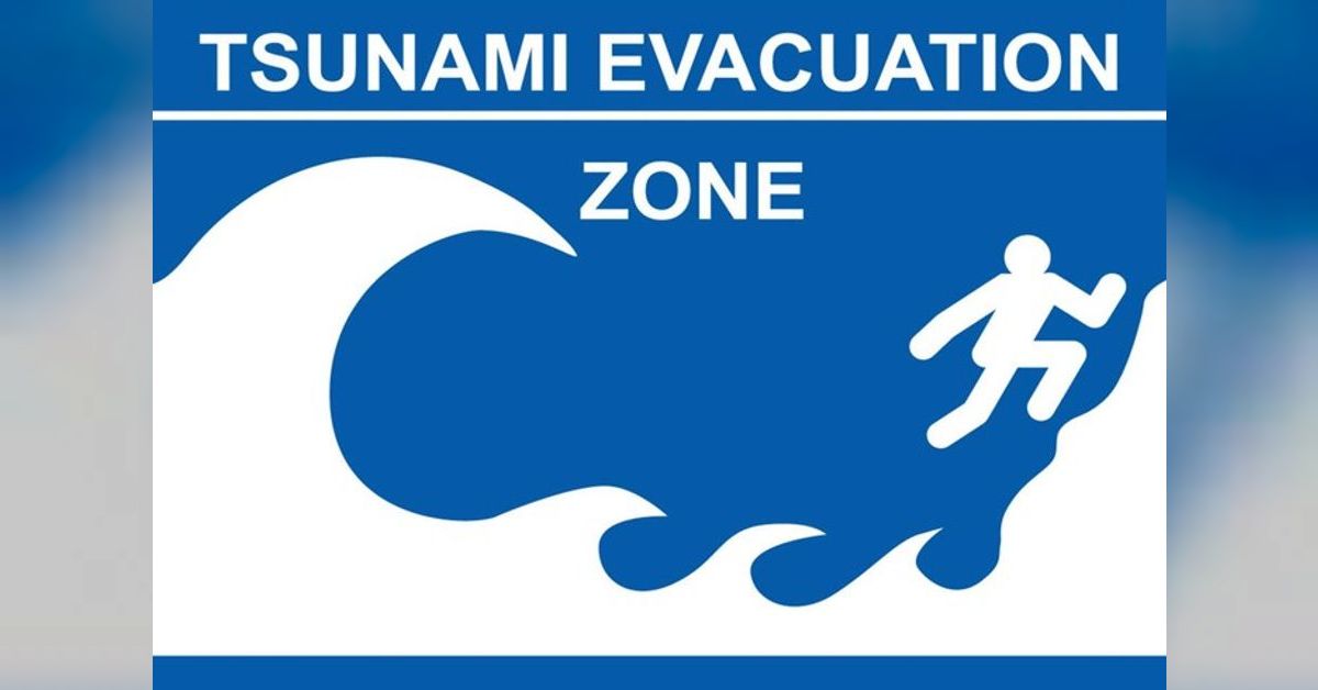 Ocean swimming... and tsunamis SWIMMING WITH THE POD
