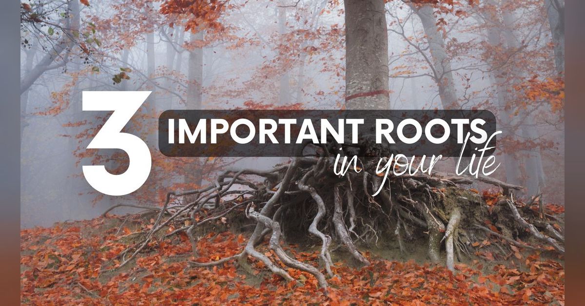 3 Important Roots in your Life | Victory World Outreach