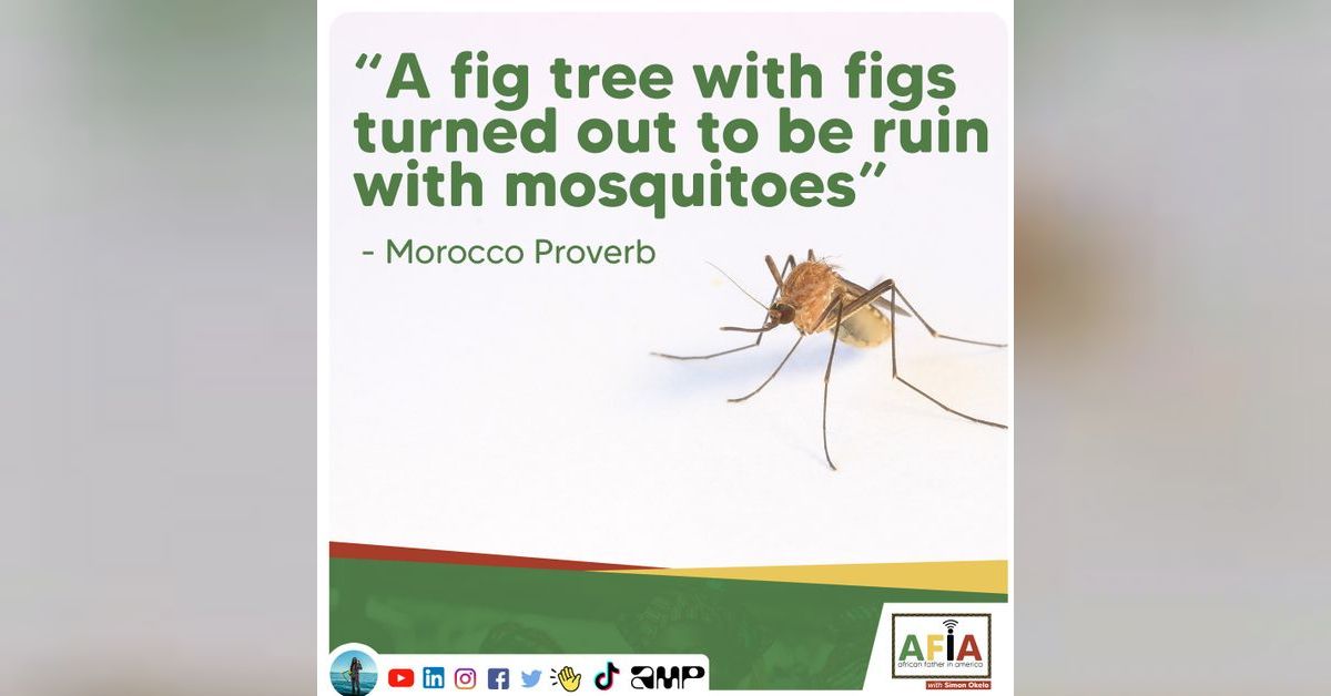 A Fig Tree with Figs Turned Out to be a Ruin with Mosquitoes African