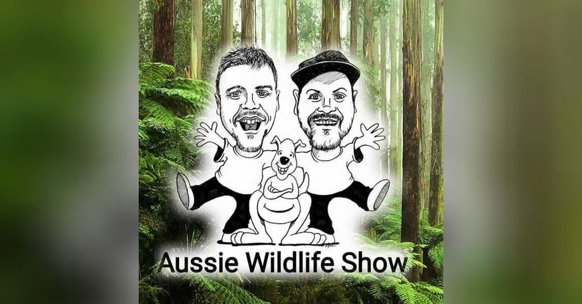 Bev Langley | Wildlife Carer, Minton Farm | Aussie Wildlife Show