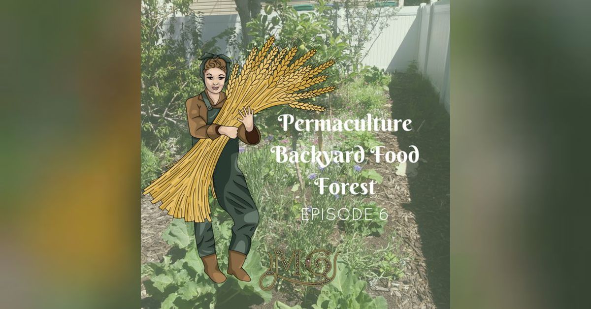 Urban Permaculture: Backyard Food Forest for Small Spaces