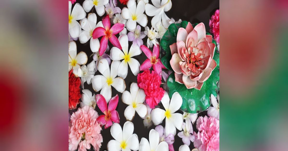 Top Ten from 2018 3 A GodHonoring Relationship Between a Motherin