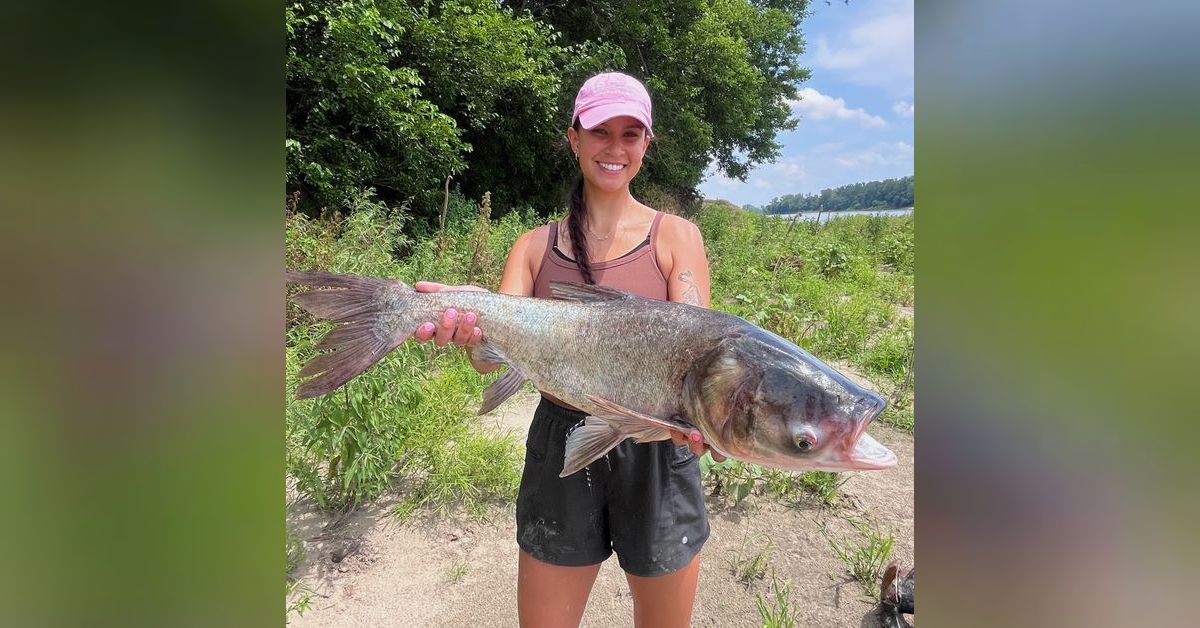 331 - Reproductive Ecology of Silver Carp and Bighead Carp in the ...