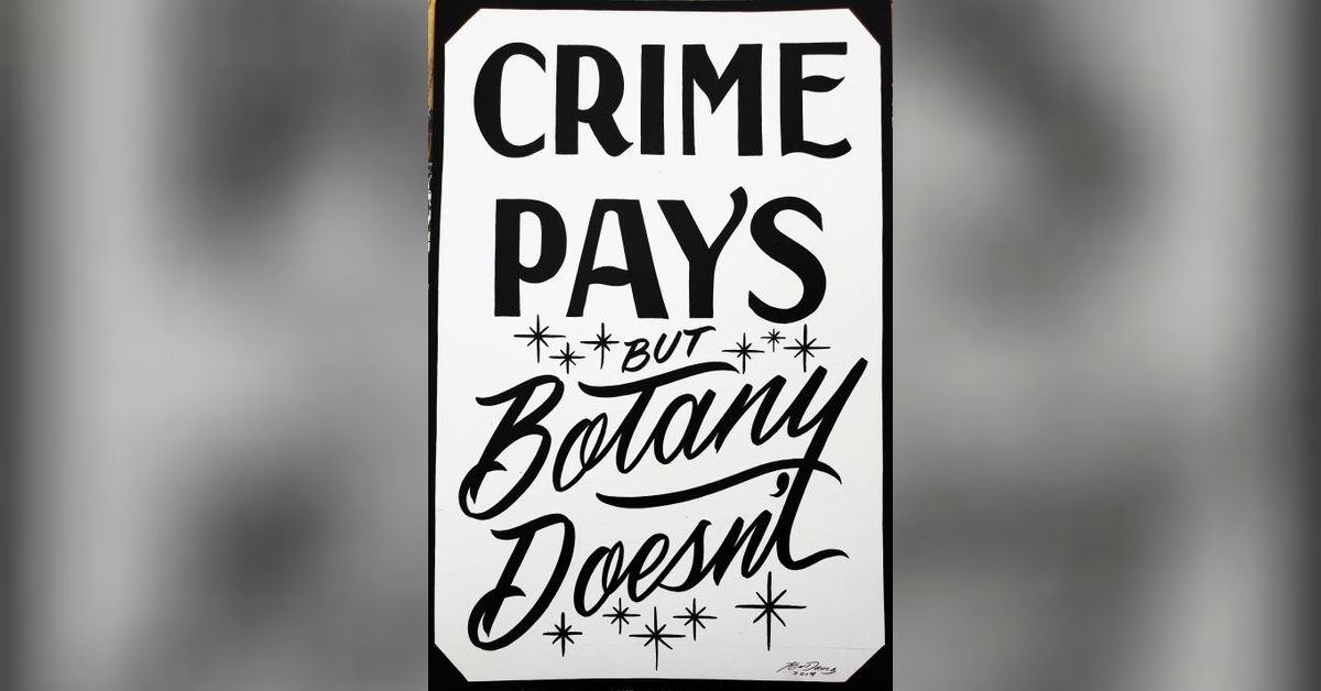Natchez Glen House Stories Episode 29 Crime Pays But Botany Doesn't ...