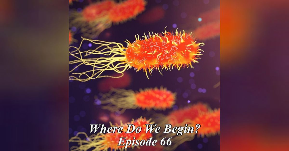 Where Do We Begin Episode #66: Invisible City (and Pax East 2025 Talk ...