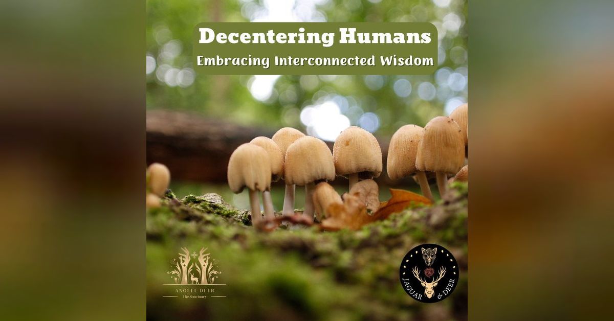 Decentering Humans: Embracing Interconnected Wisdom | Sacred Paths with ...
