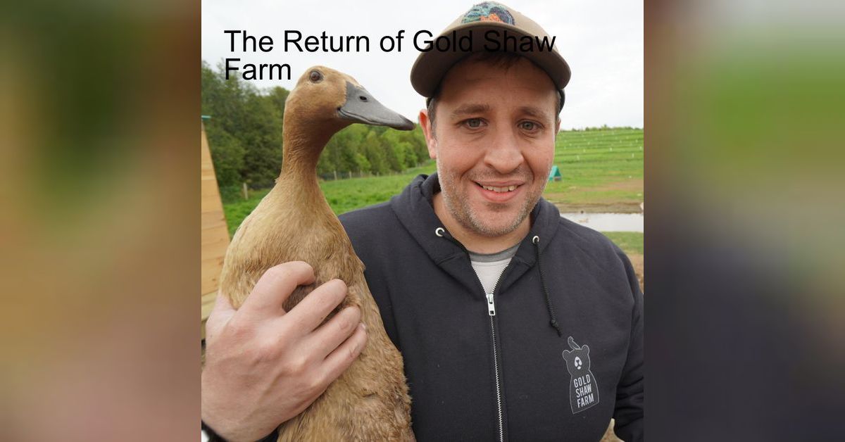 The Return of Gold Shaw Farm The Gold Shaw Farm Podcast
