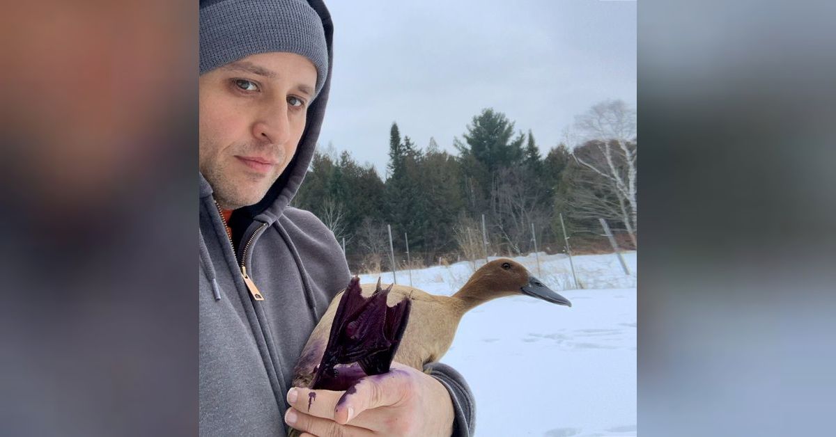 The Gold Shaw Farm 2020 Farm Plan The Gold Shaw Farm Podcast