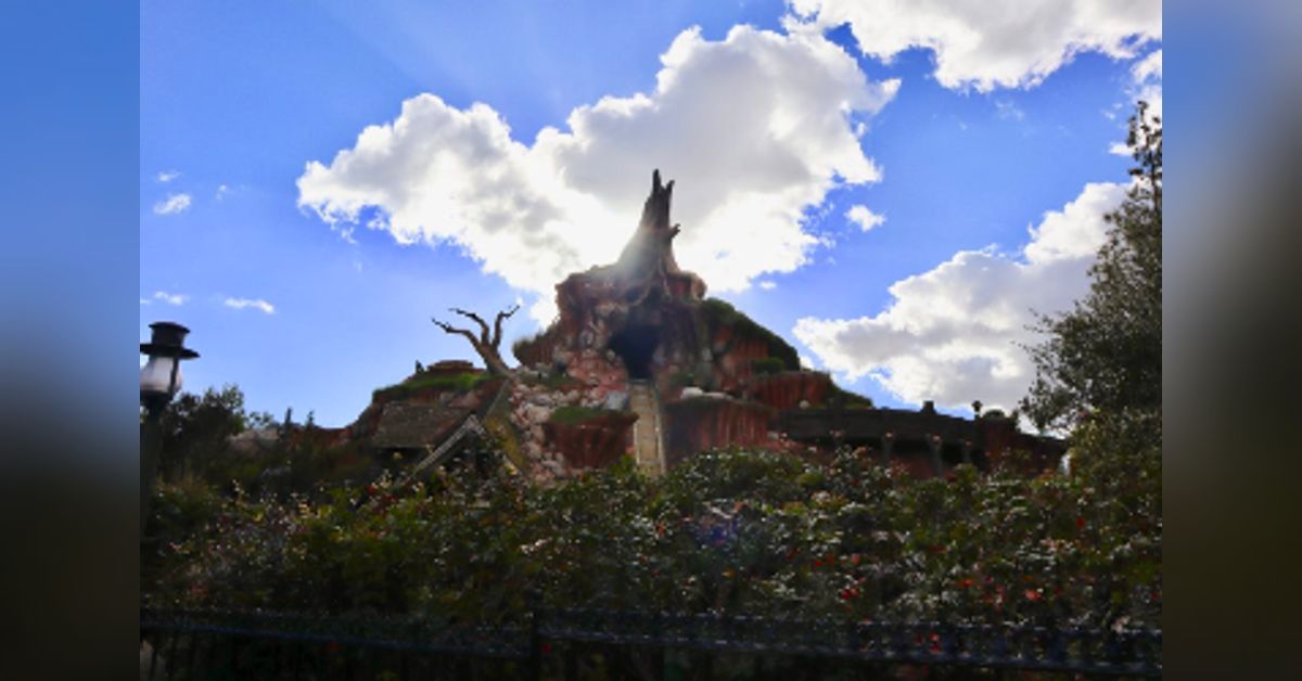 Splash Mountain Estradiol Illusions