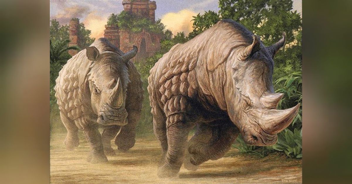 Rhino Rumble All the Ways to Use Crashing Footfalls Faithless