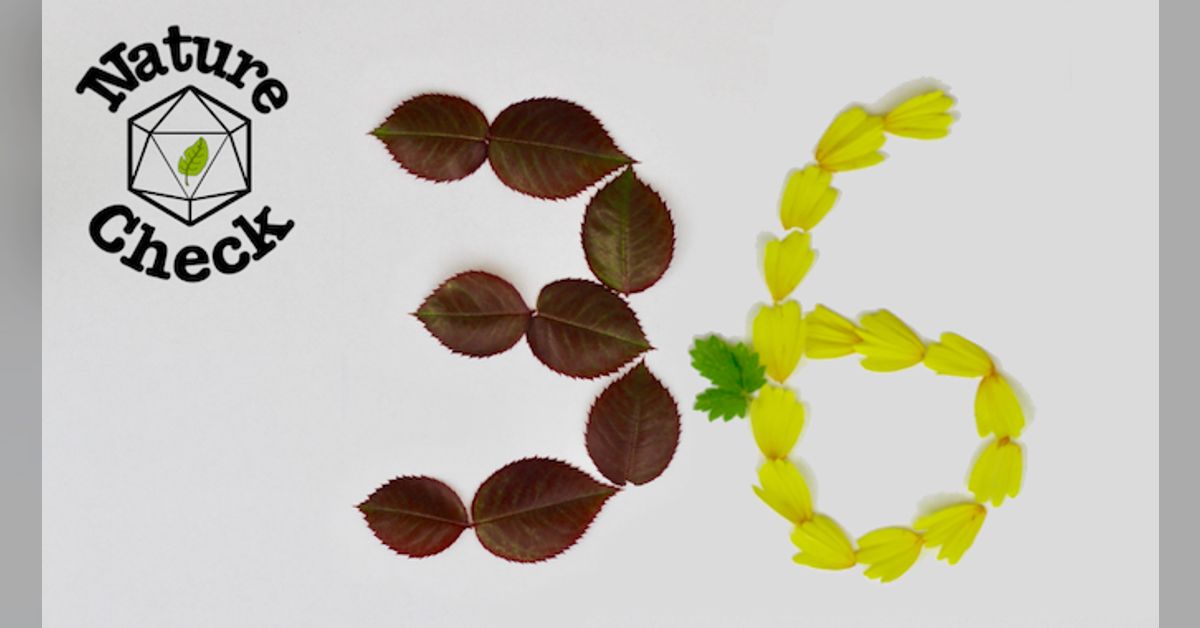 Arda Episode 36 Night Lightning Nature Check