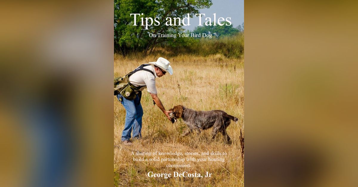 Pro bird dog trainer on new book, steadiness, how dogs think, puppy