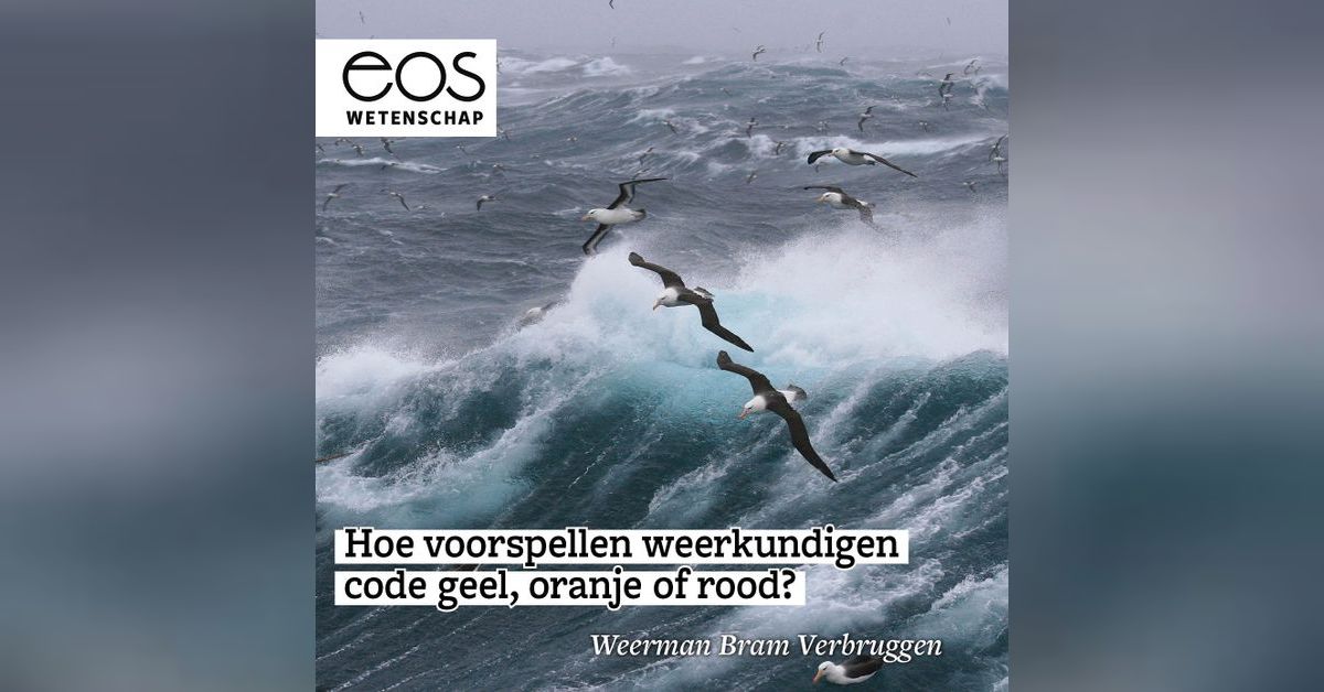 Hoe voorspellen weerkundigen code geel, oranje of rood? - Weerman Bram