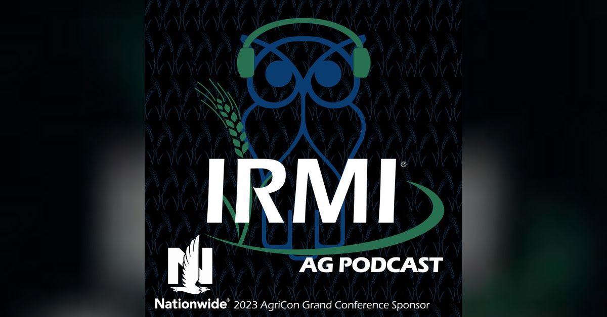 A Constant Roller-Coaster | The Edge of Risk Podcast by IRMI