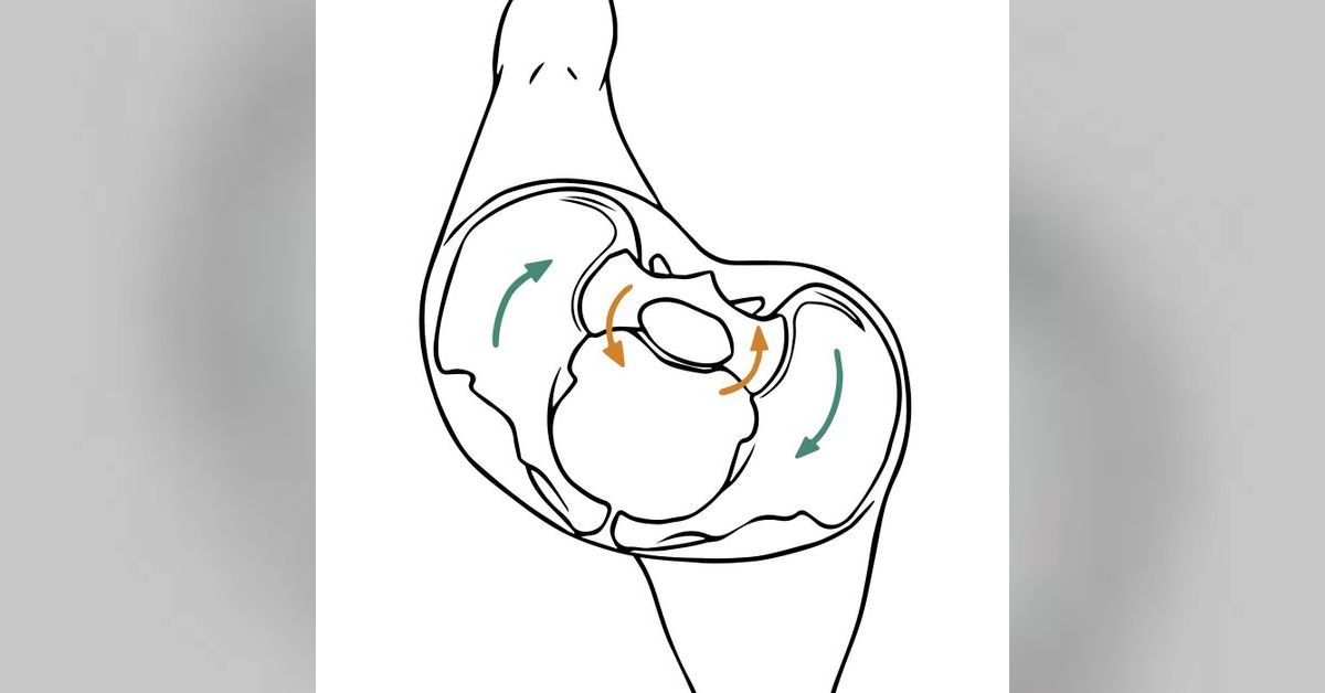 154: Sacroiliac Joints: The Next Level (with Til Luchau & Whitney Lowe ...